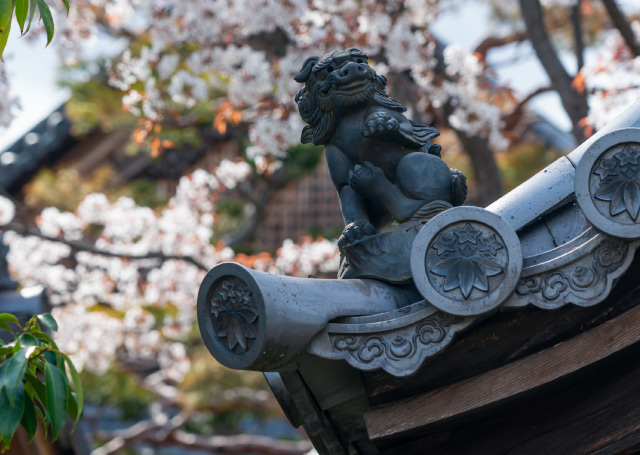 妙心寺 春光院