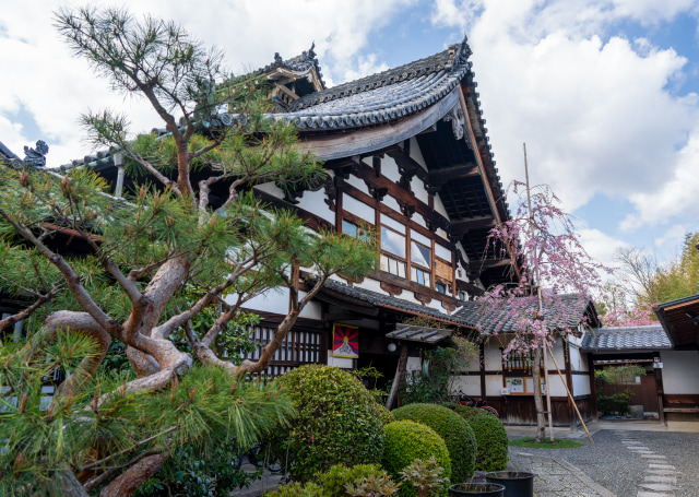 妙心寺 春光院