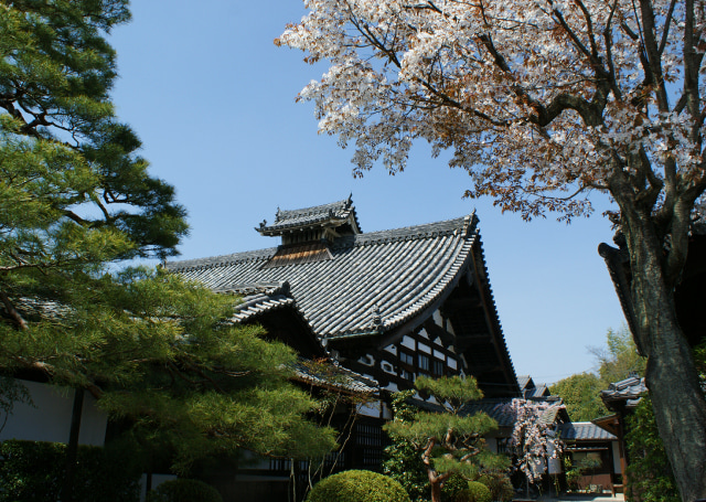 妙心寺 春光院